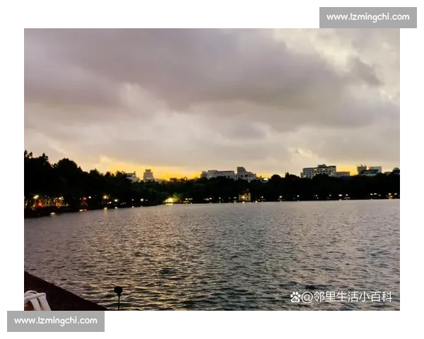 夜骑西湖：杭州青年的浪漫通勤美学