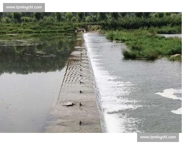 致命沸腾线！救生衣无效，专家紧急提醒夏季远离滚水坝